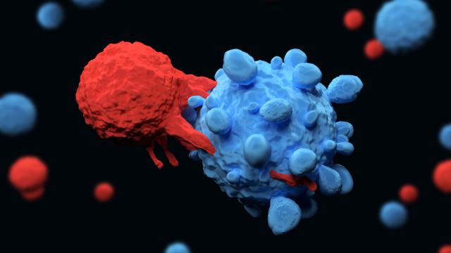 T-cell attacks cancer cell