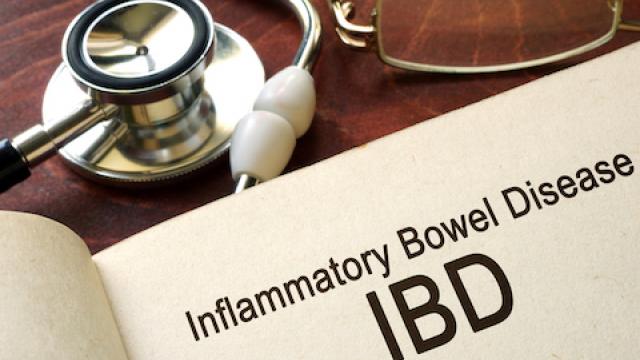 Research offers hope of future treatments for sufferers of Inflammatory Bowel Disease